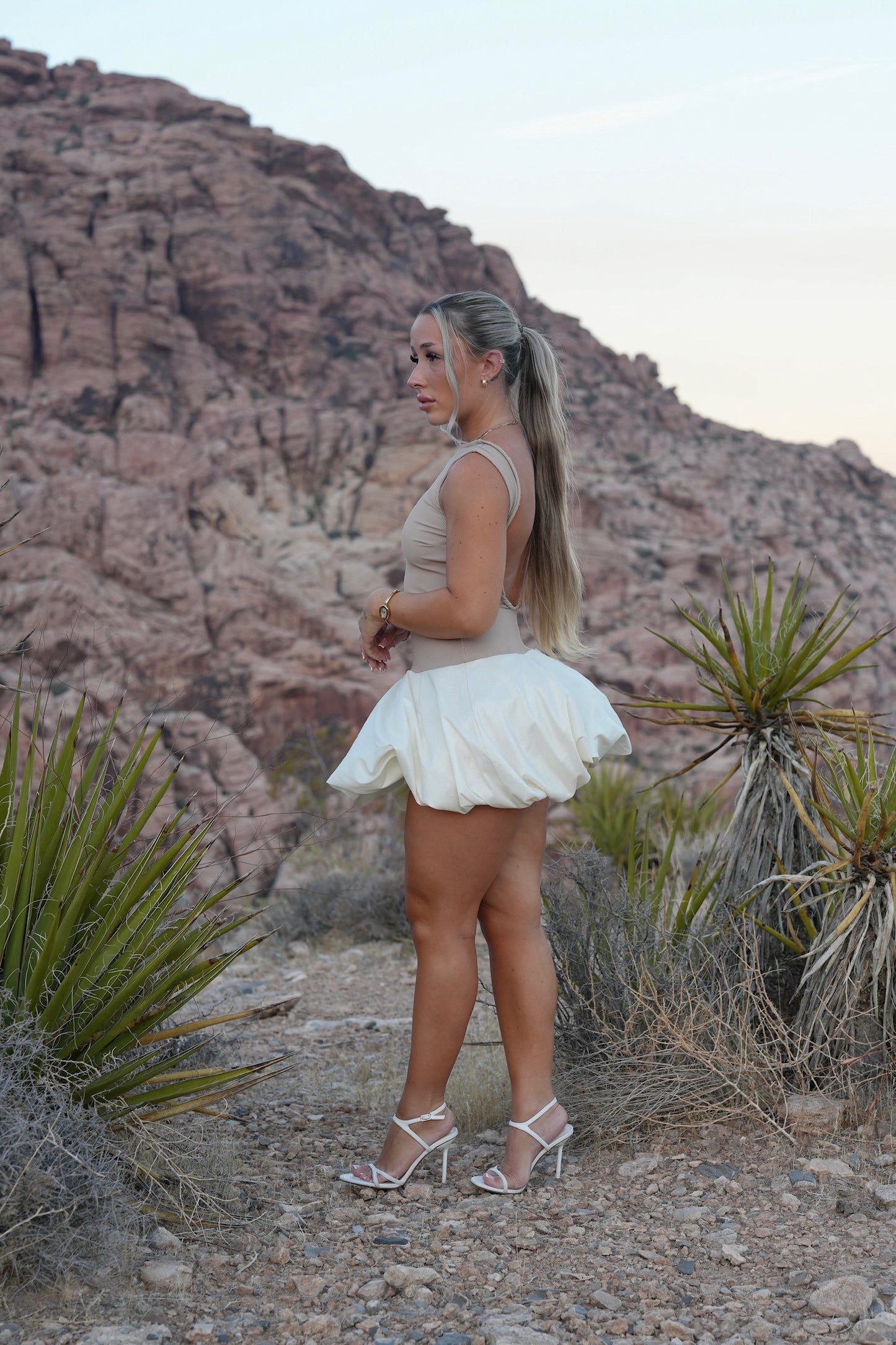 Nicolette Dress