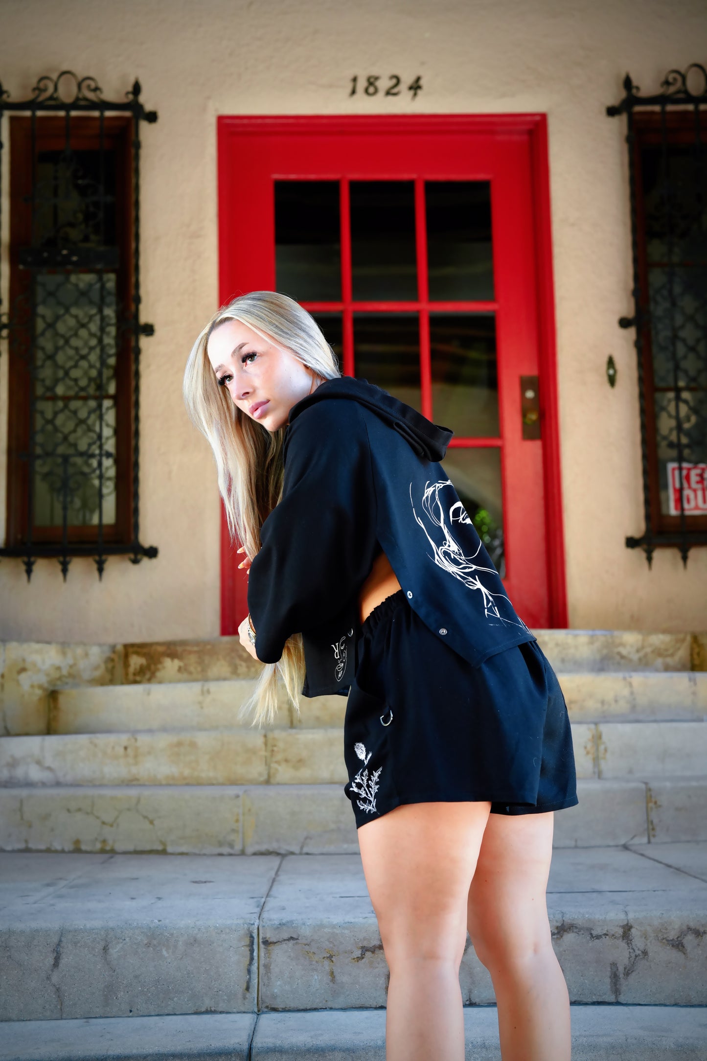 Lowlight Crop Hoodie Black