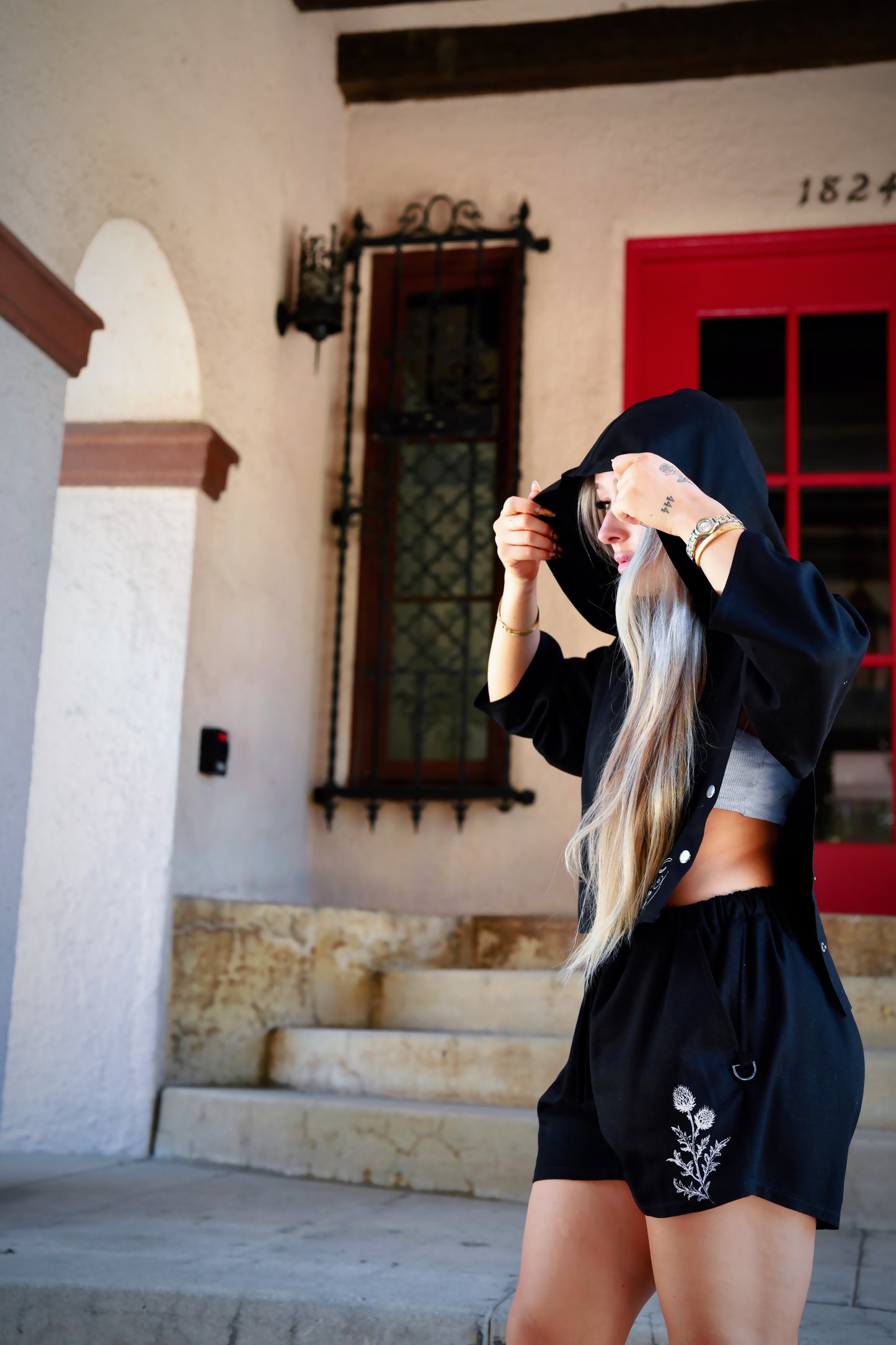 Lowlight Crop Hoodie Black